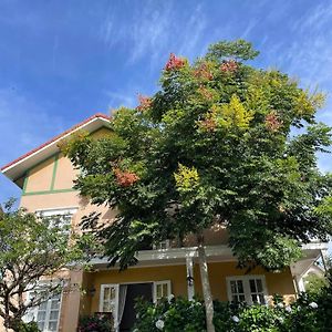 Bich Dao Boutique - Dalat